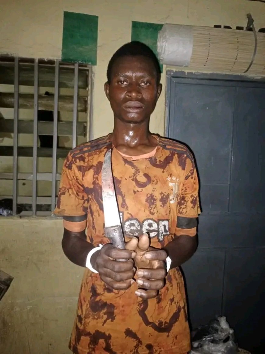 22 Years Old Man Kills His 50 Years Old Biological Mother In Kano